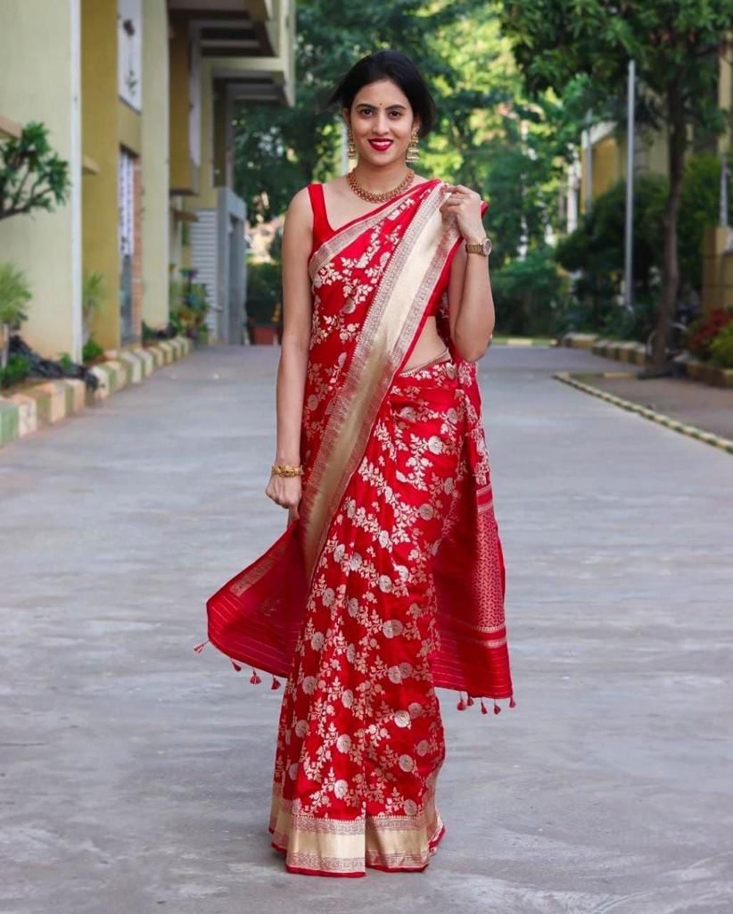 Saree 2.0 - Luxe Jacquard Border for Gen-Z Glam Girls-Minimum Qty -10 Pic