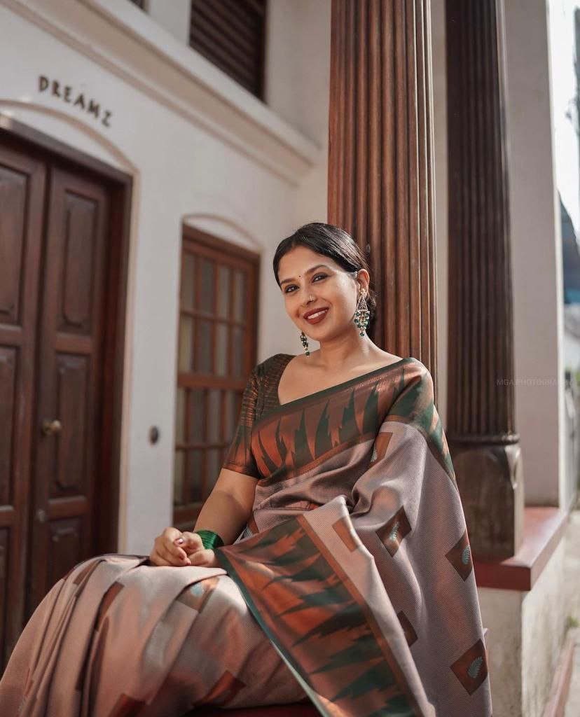Runglory Elegant Grey Banarasi Kanjivaram Litchi Silk Saree