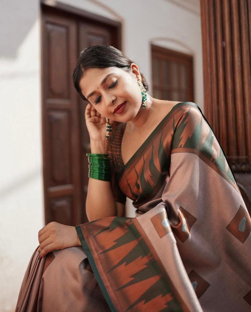 Runglory Elegant Grey Banarasi Kanjivaram Litchi Silk Saree