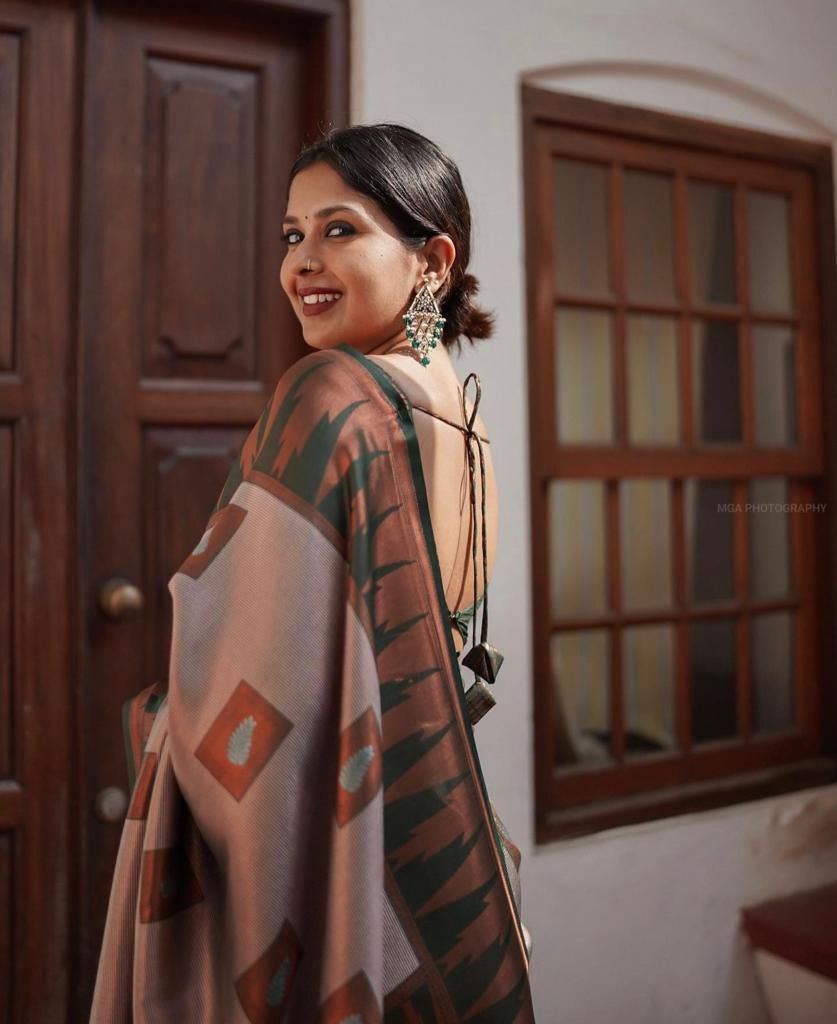 Runglory Elegant Grey Banarasi Kanjivaram Litchi Silk Saree