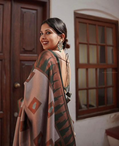 Runglory Elegant Grey Banarasi Kanjivaram Litchi Silk Saree