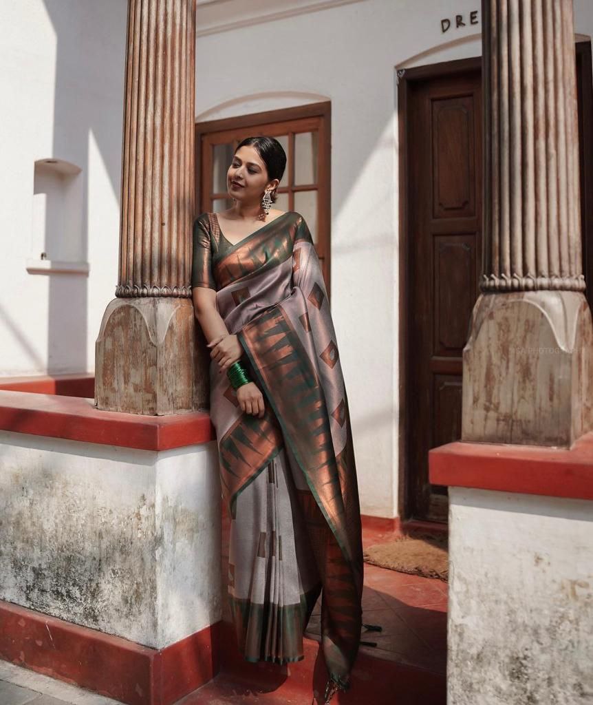 Runglory Elegant Grey Banarasi Kanjivaram Litchi Silk Saree