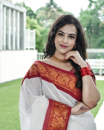 Slay in Style: Gen-Z Silk Saree with Luxe Jacquard Border-Minimum Qty -10 Pic