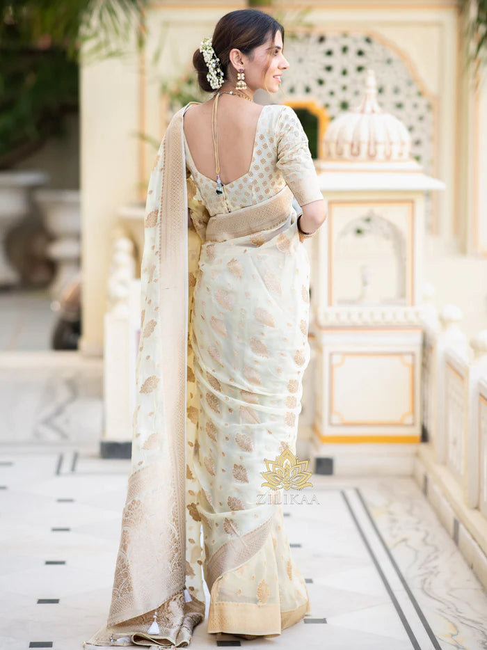 Drape And Dominate - Silk Saree with Luxe Jacquard Game-Minimum Qty -10 Pic