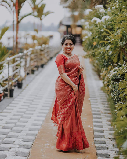 Vibe Check: Jacquard Border Silk Saree with Luxe Feels-Minimum Qty -10 Pic