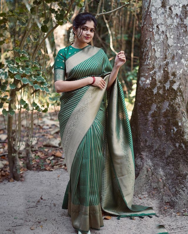 FestivaGlow: Kanjivaram Silk Saree with Elegant Borders And Graceful Fall